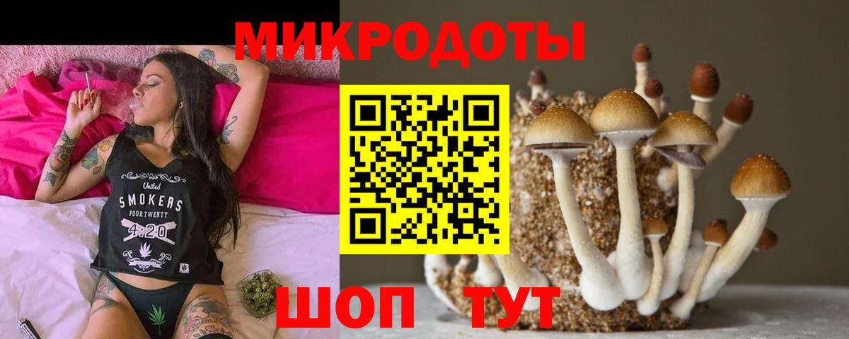 Сергиев Посад  Галлюциногенные грибы мицелий  Вход с VPN 